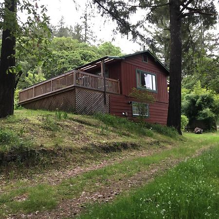 Avenue Of The Giants Caraway Cottage Miranda Екстер'єр фото