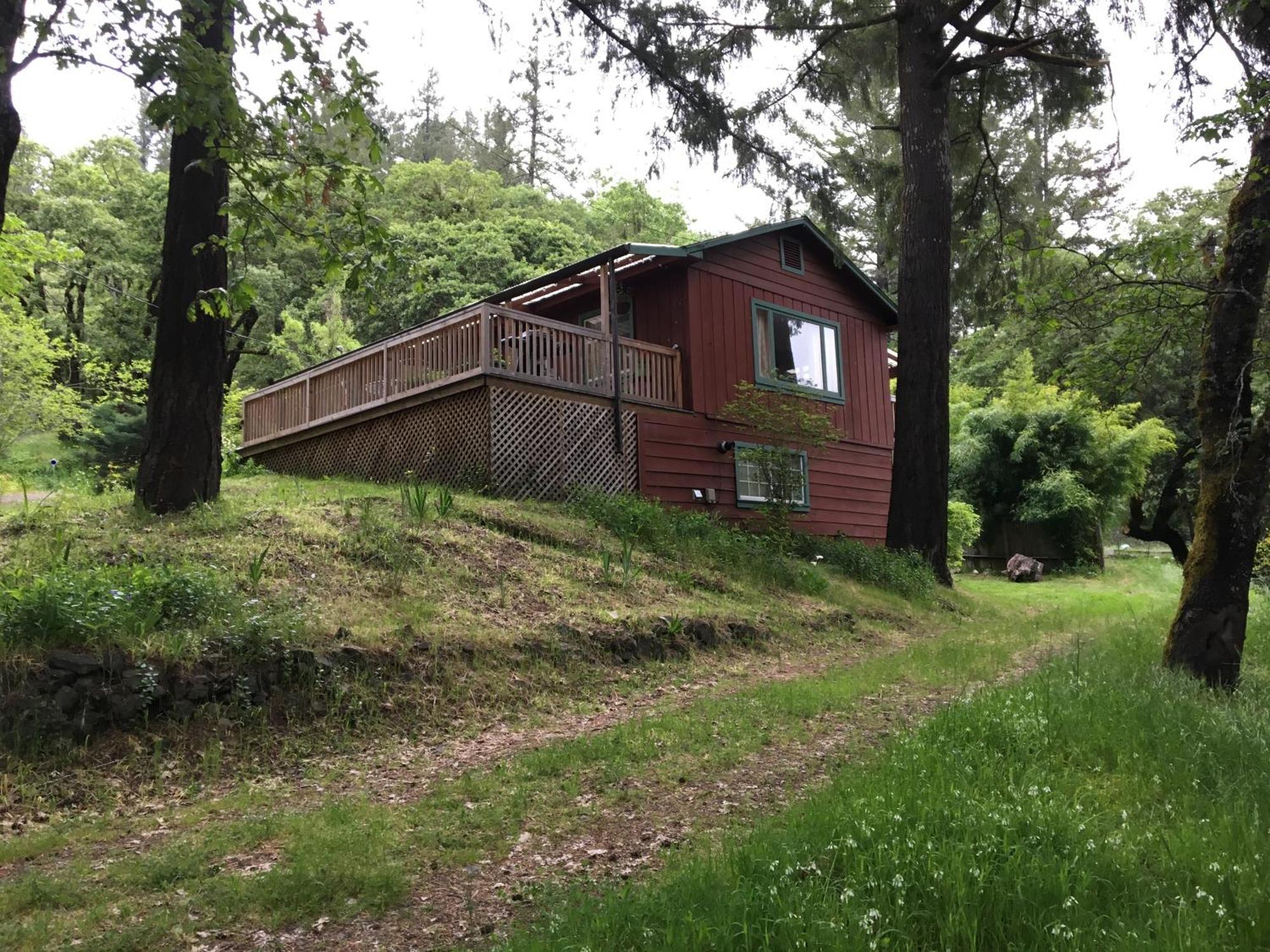 Avenue Of The Giants Caraway Cottage Miranda Екстер'єр фото