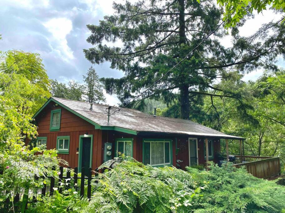 Avenue Of The Giants Caraway Cottage Miranda Екстер'єр фото