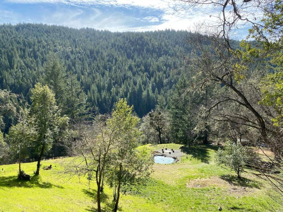 Avenue Of The Giants Caraway Cottage Miranda Екстер'єр фото