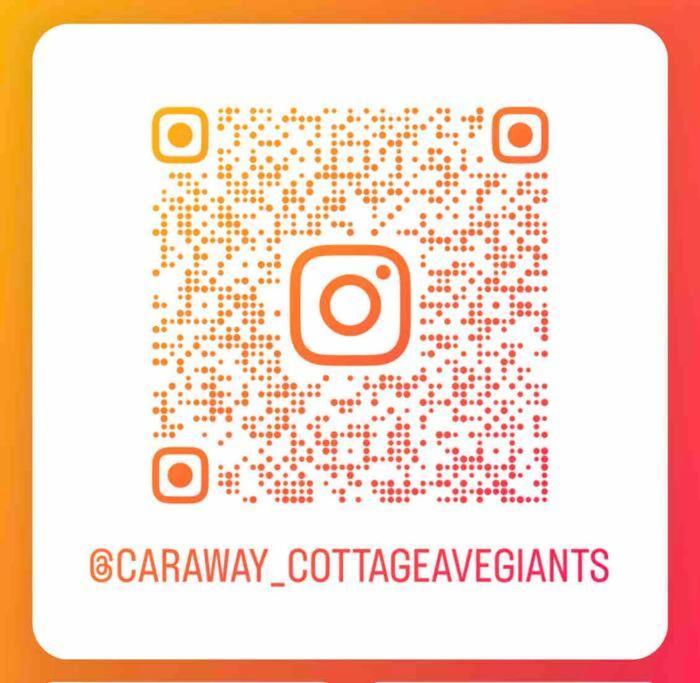 Avenue Of The Giants Caraway Cottage Miranda Екстер'єр фото