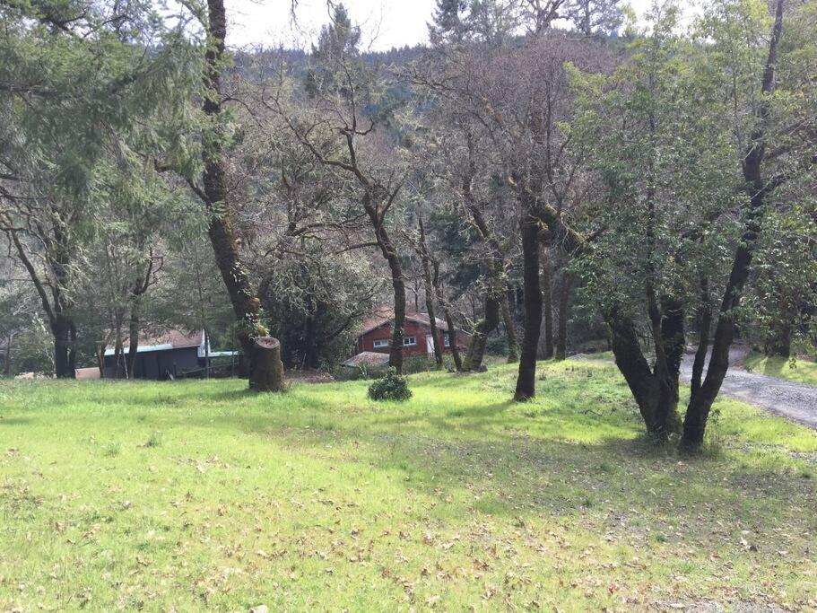 Avenue Of The Giants Caraway Cottage Miranda Екстер'єр фото