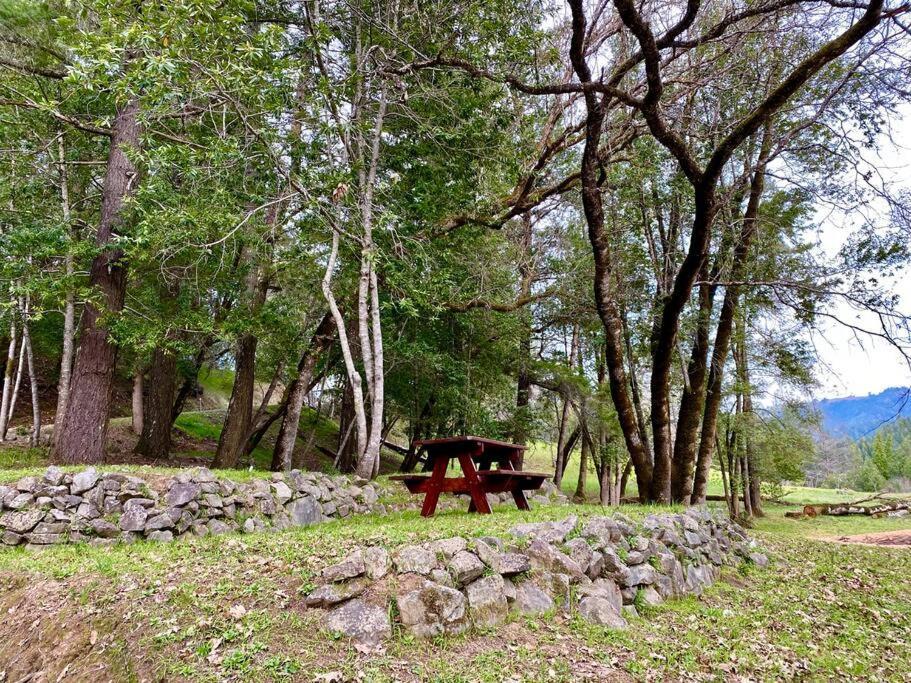 Avenue Of The Giants Caraway Cottage Miranda Екстер'єр фото